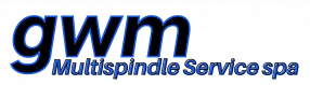 GWM